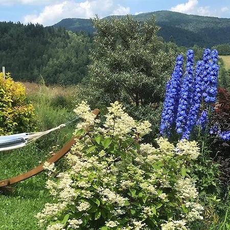 Osada Chyze Jewki Villa Cisna Luaran gambar